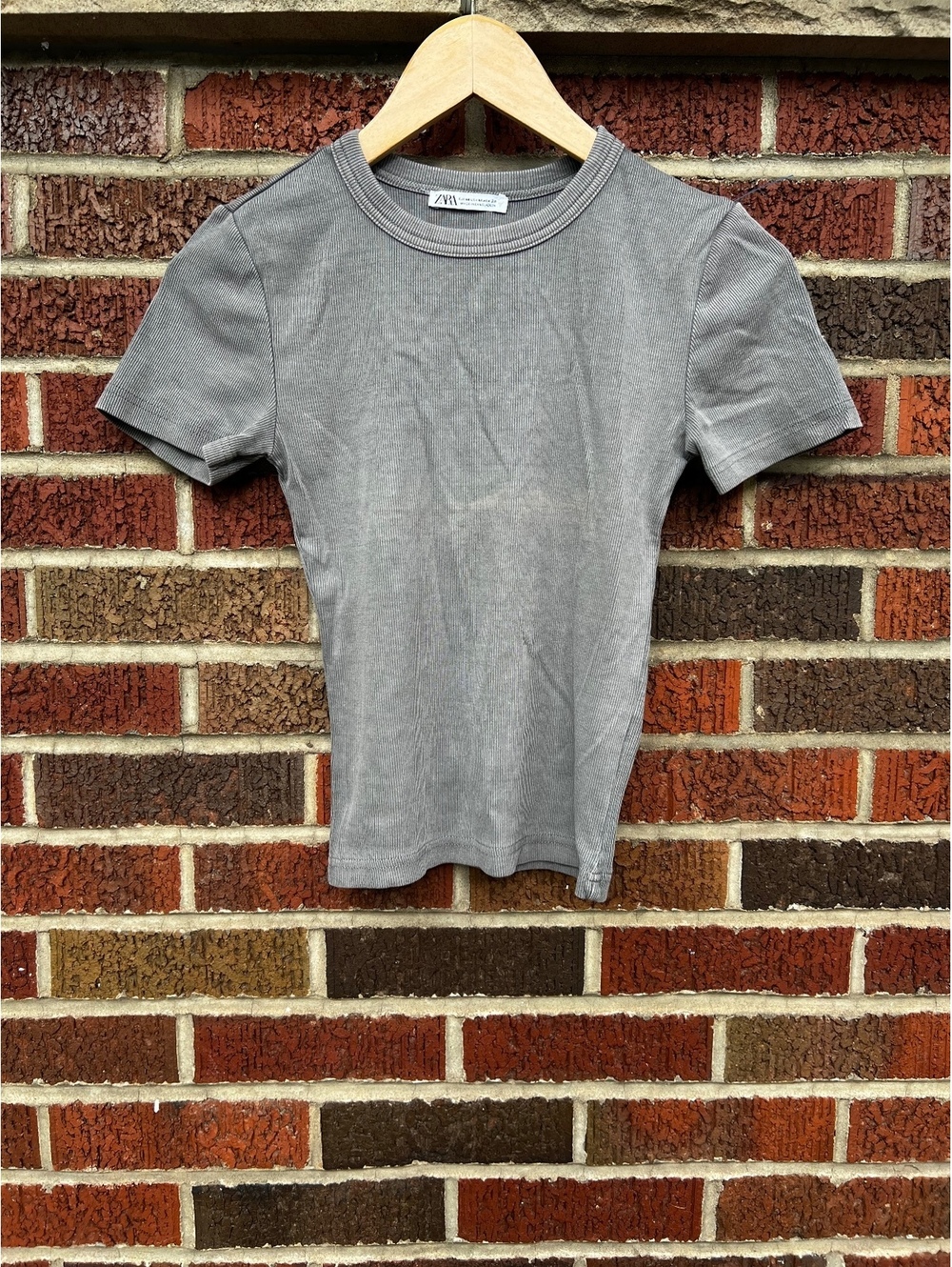 Zara Tan Taupe Ribbed Short Sleeve Fitted Top